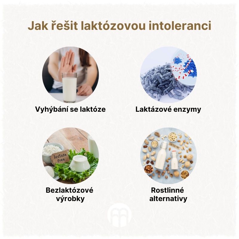 Jak řešit laktózovou intoleranci